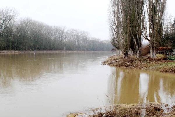 Průtok Labe po dešti znovu stoupl. Řeka se valí Nymburskem třikrát rychleji
