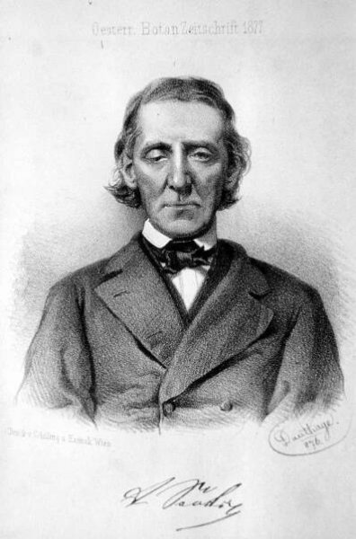 Anton Sauter