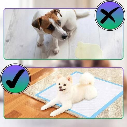 Absorpční podložky a podložky pro psy a kočky 60 x 90 cm 100 ks Počet kusů v sadě 100 ks.