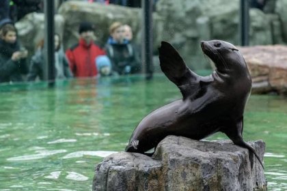 Zoo Praha zve děti na Štědrý den za korunu - TTG – vše o cestovním ruchu