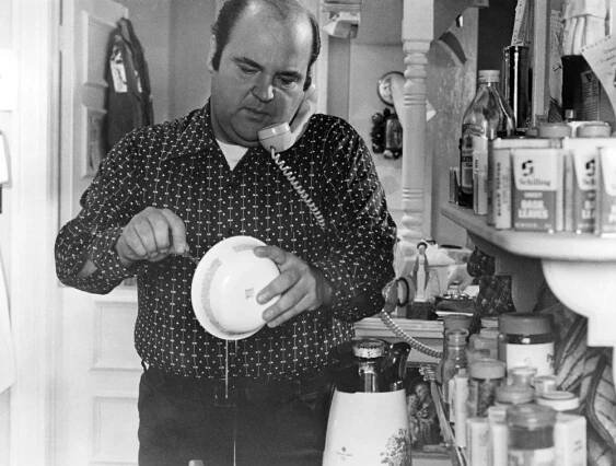 FATSO, Dom DeLuise, 1980, TM & Copyright (c) 20th Century Fox Film Corp.