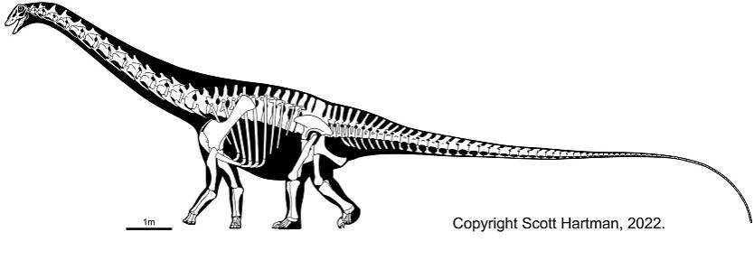 GEOL 104 Sauropodomorpha: Size Matters!