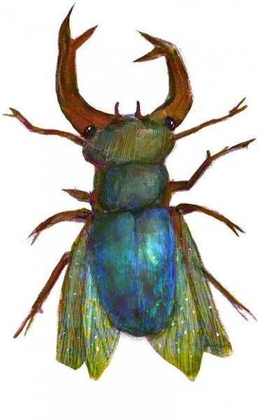 book illustration/animal illustration :: Behance