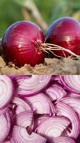 Lesser known reasons to include onion in the daily diet