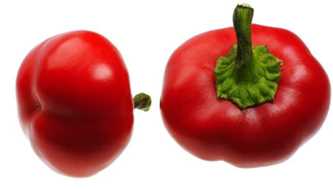 Semena papriky – Rajčatová paprika Topgirl – Capsicum annuum