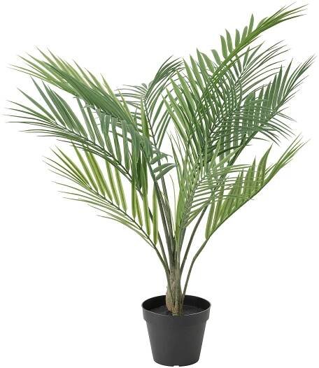 FEJKA umělá květina v květ., vn./venkovní Palma areková, 12 cm - IKEA