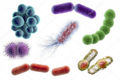 Microbes of different shapes Stock Photo by ©katerynakon 125311456