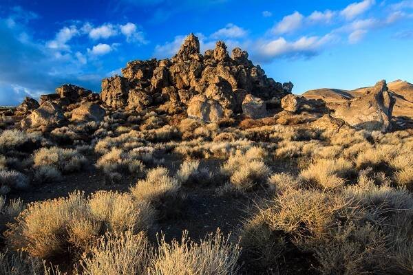 USA/Nevada – Christmas in the Blackrock Desert - WildlifeMoments.de