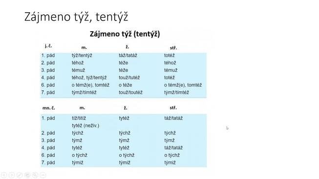 Zájmena jenž a týž