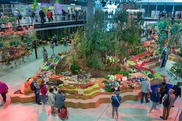 Tipy na víkend: podzimní Flora, Burger Street Festival, Noc vědců, přehlídka veteránů i tvarůžkové hody - OLOMOUC.CZ