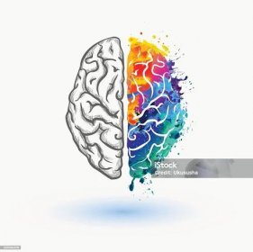 Jasná levá a pravá hemisféra lidského mozku - Bez autorských poplatků Tvořivost - Pojem vektorové obrázky