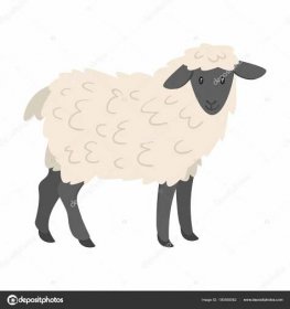 Farm animal - sheep Stock Vector by ©tkronalter9.gmail.com 190590062