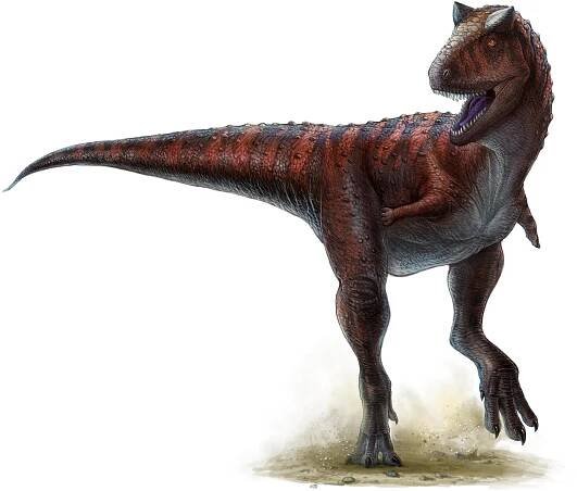 Butch tail made Carnotaurus a champion dinosaur sprinter