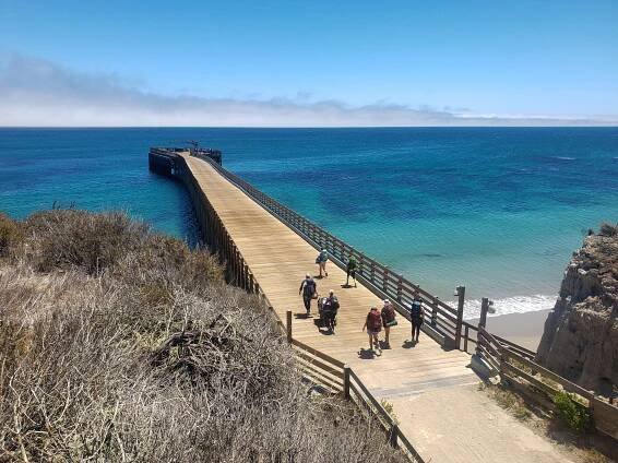 SANTA ROSA ISLAND by Will Krieger