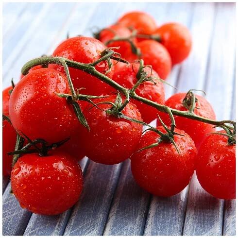 RAJČE ČERVENÉ CHERRY KOKTEJLOVÉ ŠŤAVNATÉ SLADKÉ SEMÍNKO BEZ GMO Styl venkovská zahrada