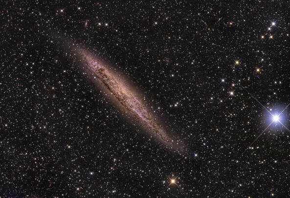 NGC4945 / Peter ward Alluna Optics RC16