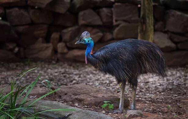Fossilized eggs crack open the mysteries of the past