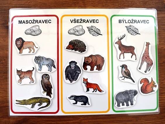 Masožravec, všežravec, býložravec