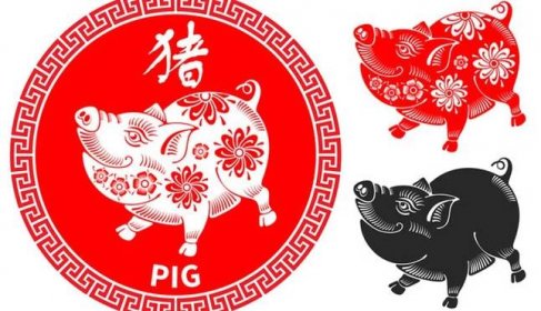 Nový čínský rok pro znamení Vepře: Váš život se hodně posune. Co pro to ale musíte udělat?