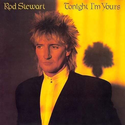 rodstewarttonightimyoursfront