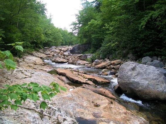 White Mountain National Forest.jpg