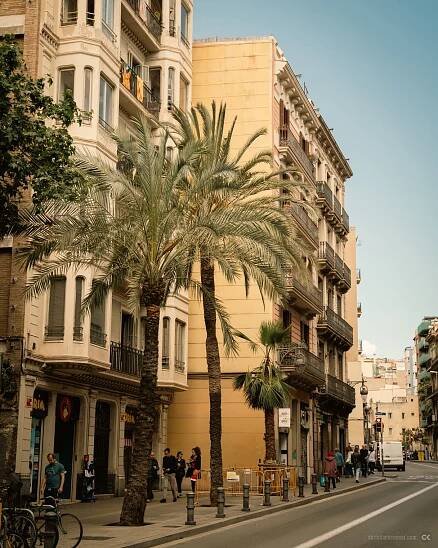 A house in Barcelona with a palm tree