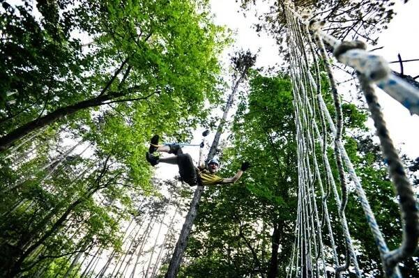 Jungle park