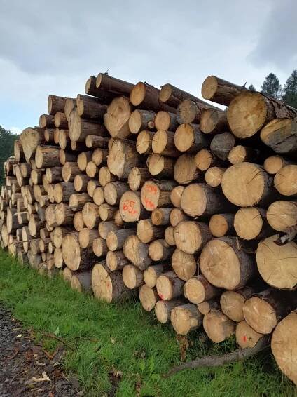 ForesTrade: Prodejní jednotka číslo 72022 - 146