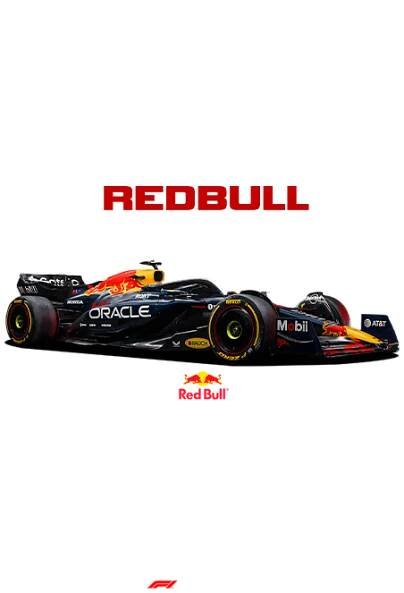 Pánské tričko s potiskem Red Bull RB21- tričko pro milovníky F1