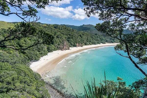 A birds-eye view over the white sand beach, turquoise ocean, and green native bush at New Chums Beach in the Coromandel.