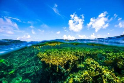 Horseshoe Reef Gibbs Cay Turks Caicos Islands