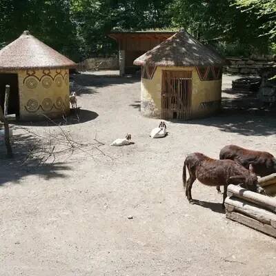 ZOO Salzburg