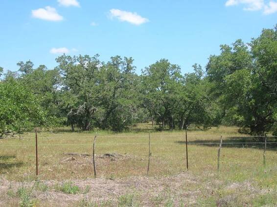 KENDALL COUNTY COUNTRY HOME | Kendall County, Texas | Thornton Ranch Sales