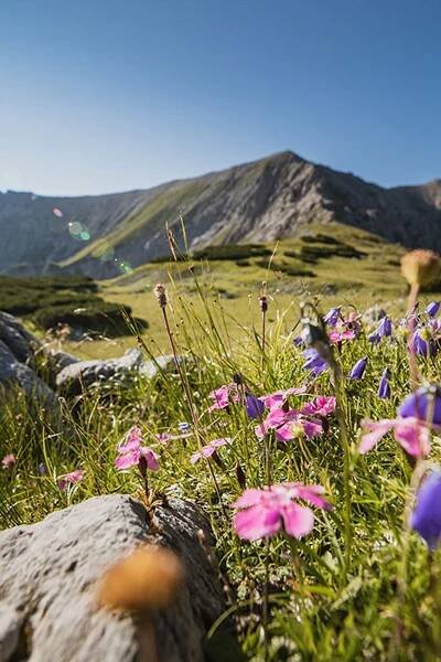 Sommer
