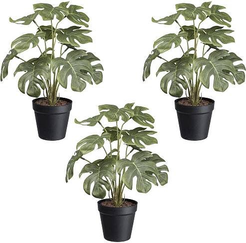 Umělá rostlina filodendron