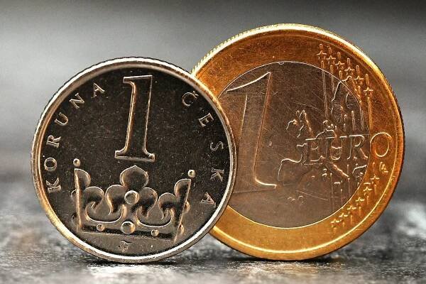 Proti české koruně hlasovalo 19 z 23 obhajujících senátorů. Nechcete zavést euro? Jen Čunek, Hraba, Hanza a Karpíšek také ne, varují Svobodní petenty