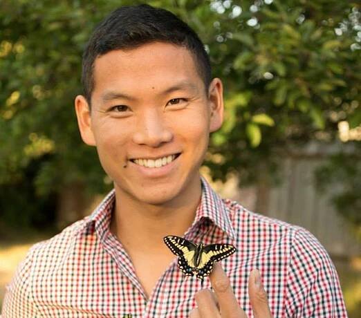 rare-blue-swallowtail-pipevine-butterfly-repopulation-tim-wong-24