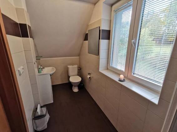 a bathroom with a toilet and a sink and a window at Penzion Mia in Dolní Moravice
