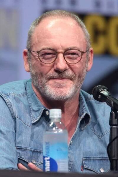 Liam Cunningham, Irish actor