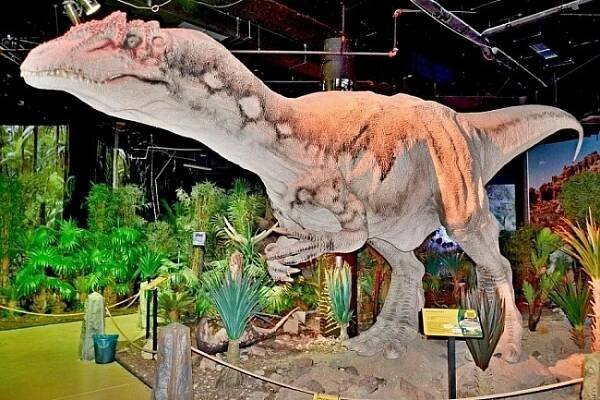 DinoPark Plaza Liberec