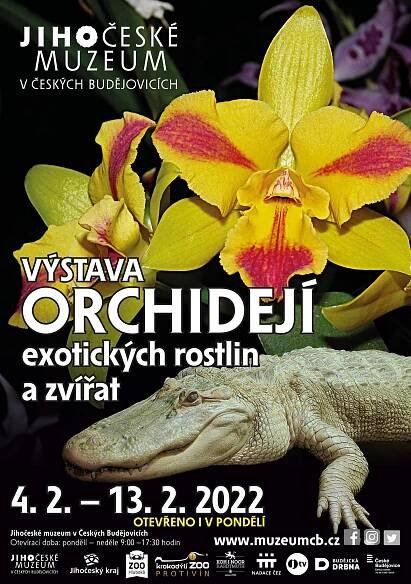 Výstava orchidejí, exotických rostlin a zvířat - Jihočeské muzeum v Českých Budějovicích
