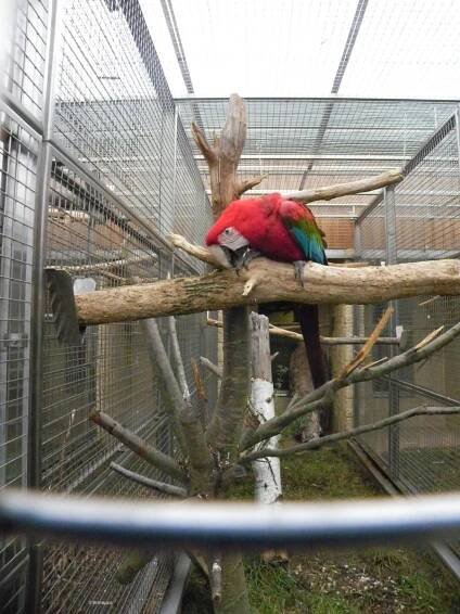 V papouščí zoo vítali o víkendu jaro: Do Bošovic míří návštěvníci z celého světa