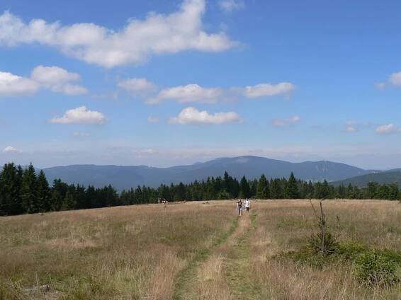 Fotogalerie Grosser Falkenstein - Velký sokolí kámen. - Pohled na Velký Javor - č. 386312 | Turistika.cz