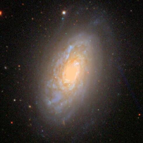 SDSS image of spiral galaxy NGC 4414