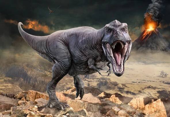 Tyrannosaurus rex mohol byť oveľa väčší, ako si vedci doteraz mysleli