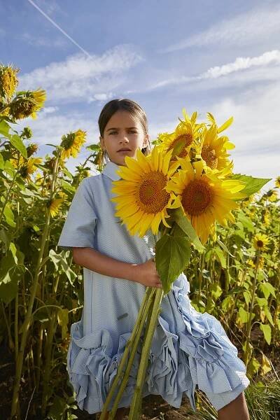 Sunflowers- pink - Chloe Smith Photography