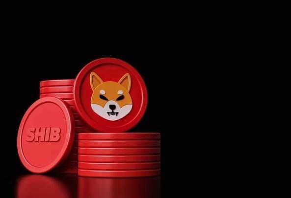 Kryptoměna Shiba Inu jako platební metoda? - Škola Obchodování