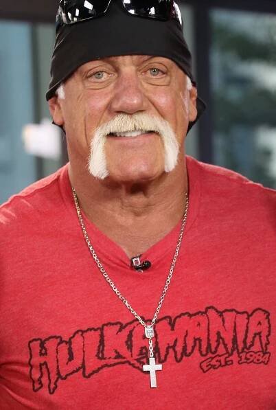Hulk Hogan on "The Morning Show" on August 23, 2013, in Toronto, Canada. | Source: Getty Images