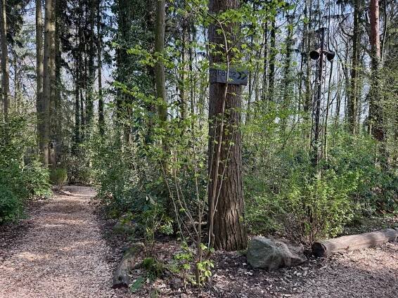Máte rádi dinosaury? Kousek od hranic najdete tematický park. Tak trochu Jurský park. Nestojí moc a průvodce je v češtině