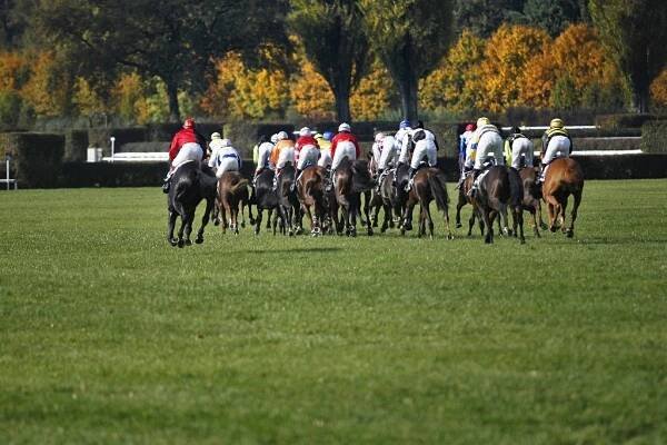 Dostihové závodiště Pardubice - sportovní zařízení - Východní-Čechy.info - oficiální turistický portál Pardubického kraje